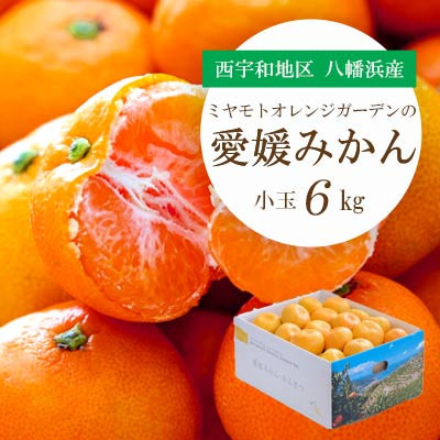 
            ＜2025年11月より順次出荷＞小さいみかんを厳選!愛媛みかん 小玉6kg＜訳あり＞＜C25-48＞【1248066】
          