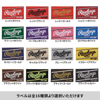 ふるさと納税 多摩市 ジュニア用　ローリングス製軟式野球グローブ(Re-Birthオリジナル) |  | 01