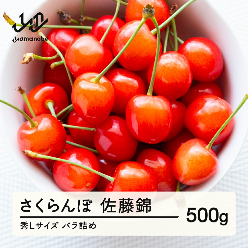 【ふるさと納税】《先行予約》さくらんぼ 佐藤錦 秀Lサイズ プレゼント ギフト バラ詰め 500g 2026年産 令和8年産 山形県産 送料無料 ns-snslb500