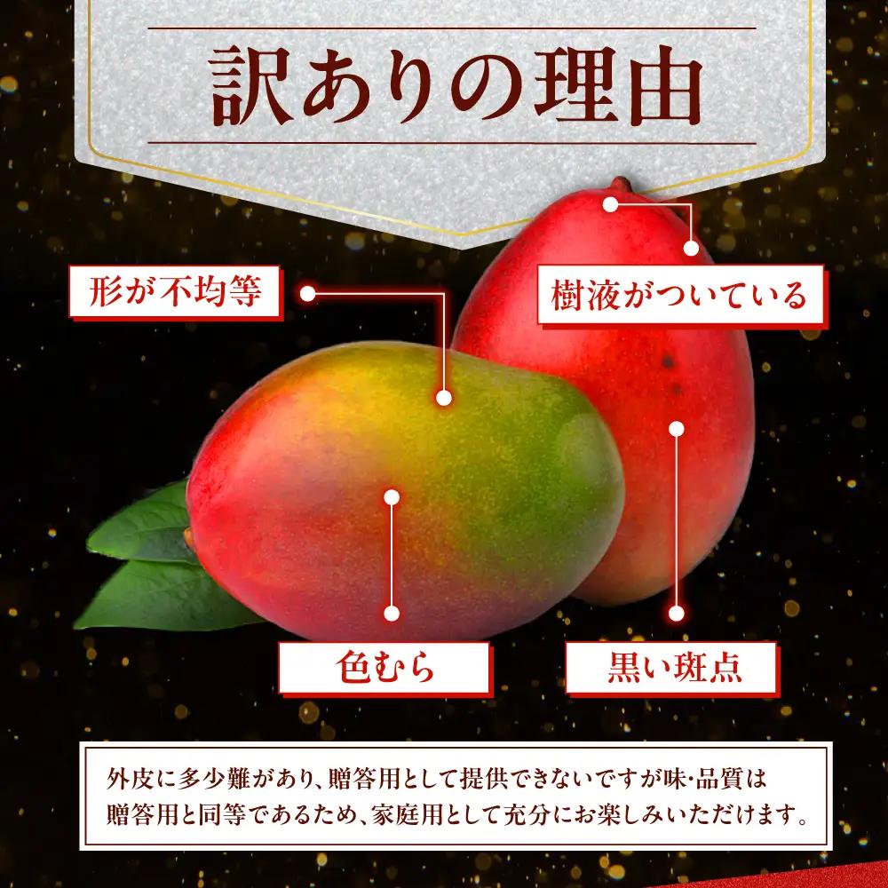【2027年発送 先行予約】 マンゴー 訳あり 1kg マンゴー BCCU004