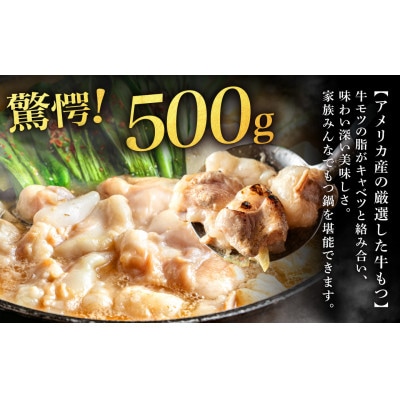 魚住商店あごだし【醤油仕立て】もつ鍋セットもつ増量500g【2～3人前セット】【配送不可地域：離島】