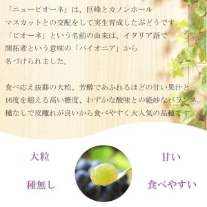 【2025年6月発送】岡山県産　ニューピオーネ　1.5kg(3房～6房)【配送不可地域：離島・北海道・沖縄県】【1308146】