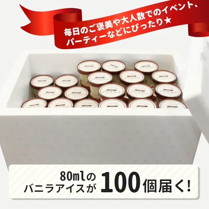 イベントやパーティにも◎生ソフトクリームアイス100個 80ml アイスクリーム ソフトクリーム スイーツ アイス デザート 根羽村 ネバーランド 60000円