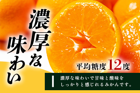 B-345《まぼろしのみかん》鹿島 平倉果樹園のみかん『今村』 約5.5kg サイズ混合 みかん 希少 幻 まぼろし 蜜柑 ミカン オレンジ フルーツ 果物 高糖系 平均糖度12度 佐賀県 鹿島市 人
