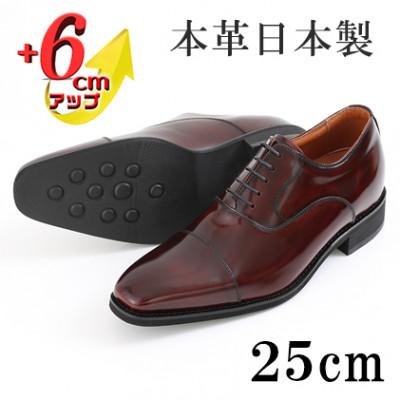 ふるさと納税 大和郡山市 牛革内羽根ストレートチップ 6cmアップシークレットシューズ No.1301 ワイン 25cm