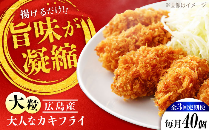 
            【全3回定期便】牡蠣 冷凍 こだわり大粒の『大人なカキフライ』【瞬間冷凍】40個入り 牡蠣 かき カキ 大粒 かき 海鮮 和食 海産物 広島県産 江田島市/有限会社マルイチ水産 [XCU008]
          