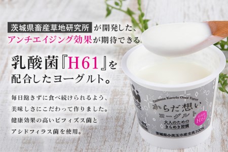 定期便4回 H61乳酸菌 からだ想いヨーグルト 20個×4回 ヨーグルト 低糖・低カロリー H61乳酸菌 アンチエイジング 健康 老化抑制 腸内改善 美容 美肌 美肌菌 敏感肌 乾燥肌 敬老の日 御見