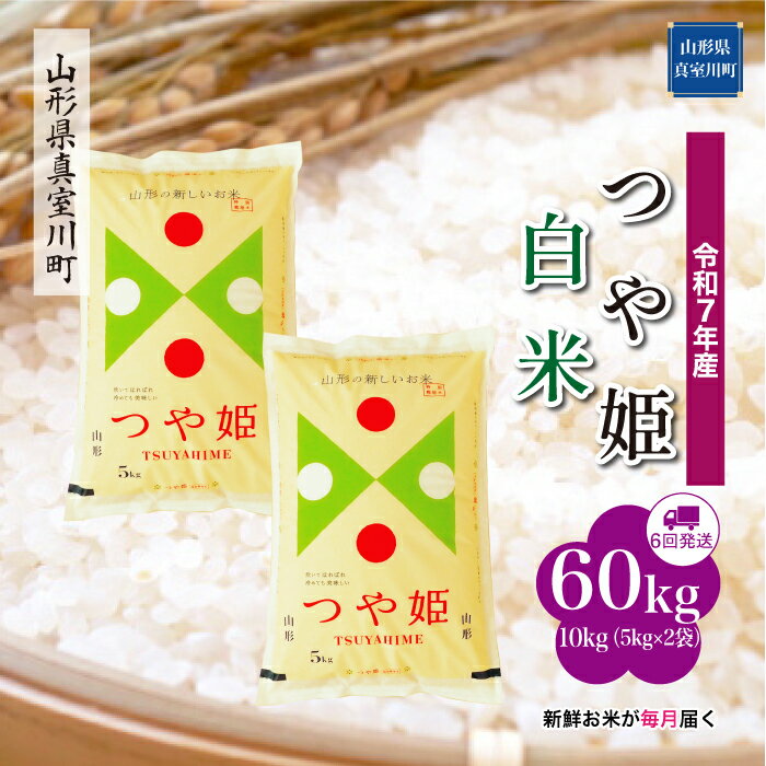 【ふるさと納税】 令和7年産 真室川町厳選 つや姫 ［白米］ 60kg 定期便（10kg×6回お届け）