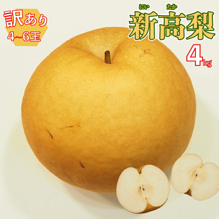 【ふるさと納税】＜2025年10月中旬～10月下旬ごろ発送予定＞＜訳あり 規格外 新高梨 4kg(4～6玉)＞家庭用 自宅用 変形 しみ キズ サイズ混合 ナシ フルーツ グルメ【常温】 黒岩 なし 旬 大玉 大きい朝ドラらんまんモデル 牧野富太郎のふるさと 佐川から直送