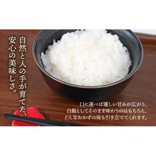 【数量限定】《令和7年産》岐阜県産 コシヒカリ（精米） 5kg | 垂井町産 米 白米 冷めても美味しい米 ブランド米 高品質 安心 安全 リピーター多数 贈答用 贈り物 ギフト プレゼント おしゃれ