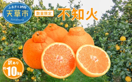 S086-007A_訳あり 不知火 約 9kg 数量限定〈先行予約〉