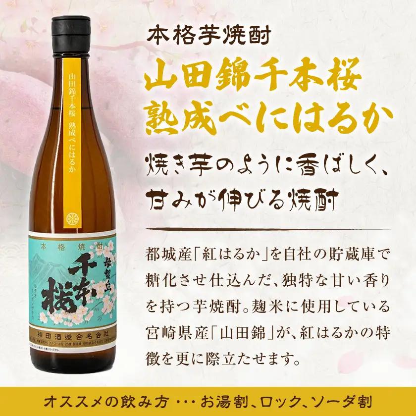 【柳田酒造】山田錦千本桜 熟成べにはるか(25度)720ml×2本 ≪みやこんじょ特急便≫_AA-0750_(都城市) べにはるか 焼酎 25度 熟成 お湯割/ロック/ソーダ割 伝統製法/こだわり/老