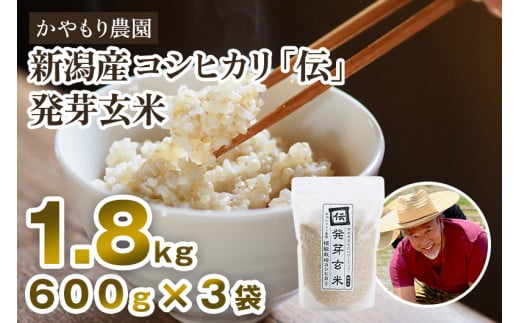 【令和7年産新米】[発芽玄米] 新潟産コシヒカリ「伝」発芽玄米1.8kg（600g×3袋）《9月下旬～順次出荷》 かやもり農園