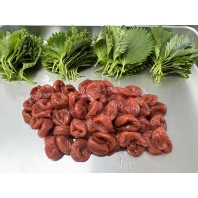 ふるさと納税 十日町市 こだわり餃子梅しそ(冷凍生餃子)25個入り×2パック |  | 03