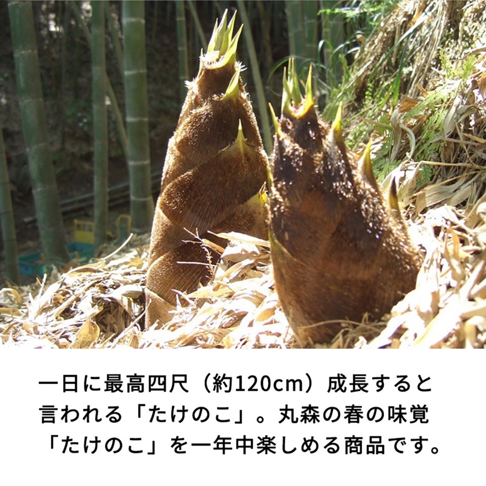 【丸森町特産】 たけのこカレー5個【08109】