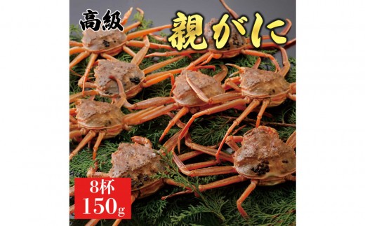 
                  【2026年11月発送】鳥取県産 特撰 親がに 姿【セコガニ】（なま）150g　8杯
                