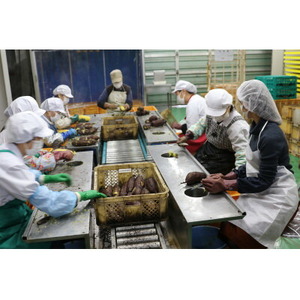 【先行受付/ひとくち食べ切りサイズ】西野さんのほしいも(約70g×4パック)_野菜 さつまいも いも サツマイモ 薩摩芋_【1284175】