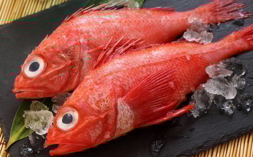 C-76028 【北海道根室産】キチジ(メンメ・キンキ)3尾～5尾(下処理済)