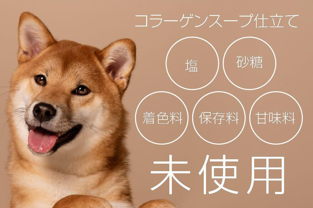 陣中 わんこのおやつ水煮 100g×3パックセット