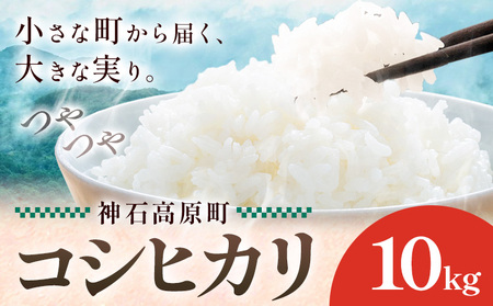神石高原町産 コシヒカリ 米 10kg 株式会社MSERRNT《寄附後2週間日以内に出荷予定(土日祝除く) 》お米 白米 ご飯 ごはん 白ご飯 白飯 国産 コメ 広島県 神石高原町