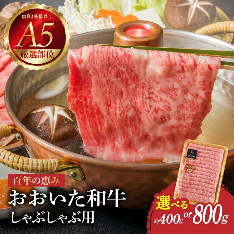 【ふるさと納税】おおいた和牛 A5 しゃぶしゃぶ用【選べる内容量】約400g～ 【厳選部位】ロース・肩ロース・もも・肩百年の恵み 豊後牛 日本一 肉質4等級以上 霜降り 国産 国産牛 ブランド肉 牛 しゃぶしゃぶ 鍋 すき焼き 贈答 冷凍 全国和牛能力共進会 内閣総理大臣賞
