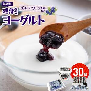 無添加　建部ヨーグルト（ブルーベリージャム付き）30個 [No.5220-0044]