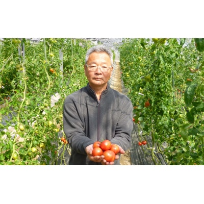 高糖度　潮彩トマト　約1kg