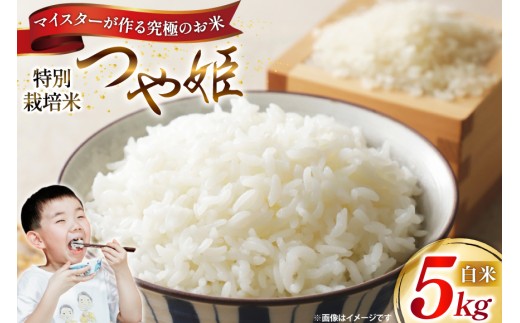 米 令和7年 つや姫マイスターが作る 特別栽培米 つや姫 5kg [遠藤農園 山形県 高畠町 tk06ayt120012] 5キロ お米 ブランド米 ごはん ご飯 白米 精米 こめ
