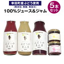 【ふるさと納税】ぶどう100%ジュース&ジャム詰め合わせ 合計5本セット 100%ジュース 180ml×3本 ジャム 90g×2本 幸田町産ぶどう使用 無添加 無糖 無加水 詰め合わせ ぶどうジュース 葡萄ジュース 純粋種有ぶどう 種ぶどう 飲料 国産 愛知県 幸田町 送料無料