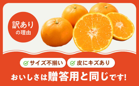 みかん 訳あり 愛果48号 約3kg フルーツ 果物 みかん 訳あり BJAZ001