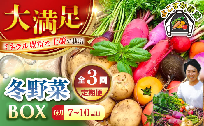 
            【先行予約】【全3回定期便】すずなり採れたて野菜BOX　(7～10品)  冬（12月～2月） 野菜  やさい 詰め合わせ 詰合せ 【鈴也ファーム】 [AKCE008]
          