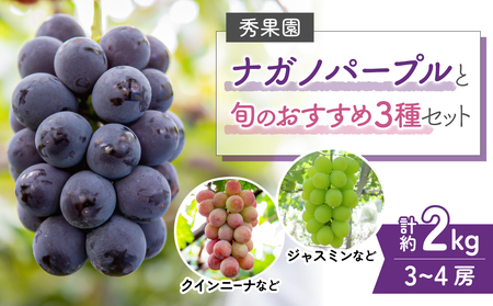 【先行受付2025年発送】ナガノパープルと旬のおすすめ3種セット（合計3~4房、約2kg）｜秀果園　ナガノパープル ぶどう 葡萄 皮ごと 種なし 高糖度 フルーツ 果物 特産品 産地直送