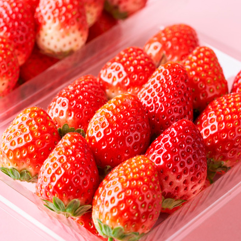 【定期便4回】ノノハナフルーツ 秋から初夏までのおすすめ