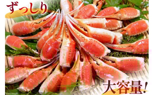 リピーター続出！ 本ずわいがに爪 約700g / カネダイ / 宮城県 気仙沼市（蟹 かに カニずわいがに ズワイガニ ずわい蟹 ズワイ蟹 ずわい ズワイ 蟹 カニ爪 蟹爪 カニ爪肉 つめ 爪 ボイル