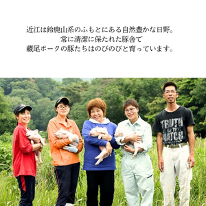 うで肉切り落とし　300ｇ×5パック　計1.5kg 【冷凍配送】 滋賀県日野町 藏尾ポーク本舗　豚肉 豚ウデ  小分け　便利  12月30日～1月9日はお届け不可