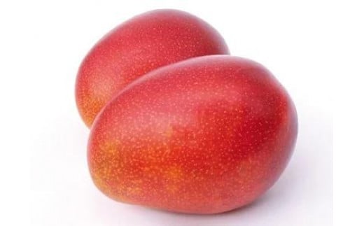 【2025年発送・20セット限定】完熟プレミアムマンゴー約1ｋｇ（化粧箱）2玉