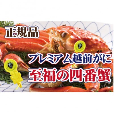 桐箱入り!四番蟹　至福のプレミアム越前がに × 1杯 ≪浜茹で≫【2・3月発送分】【配送不可地域：離島】【1374275】