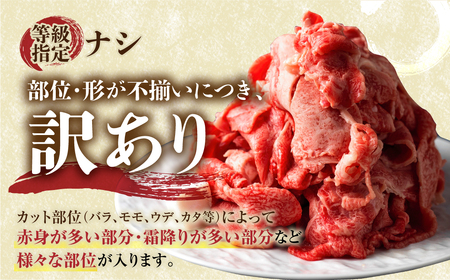 訳あり 飛騨牛 切落し 700g 牛肉 訳あり [S541]