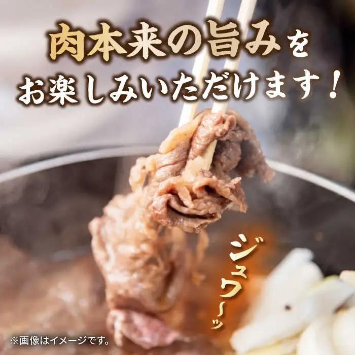 長崎和牛 切り落とし 600g（300g×2パック） [JEP008]切り落とし