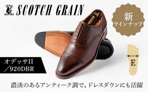 スコッチグレイン ビジネスシューズ メンズ オデッサII 920DBR セミブローグ 革靴 本革 日本製 E 送料無料 ギフト【24.5cm】 [№5619-7715]1554