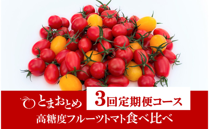 
                  【 定期便 3回 】 栃木県 鹿沼産 高糖度 フルーツトマト ”とまおとめ” 食べ比べ 1kg×3回 トマト カキヌマファーム アイコ フルティカ アルル イエローアイコ 鹿沼市　※2026年1月中旬～5月下旬頃に順次発送予定
                
