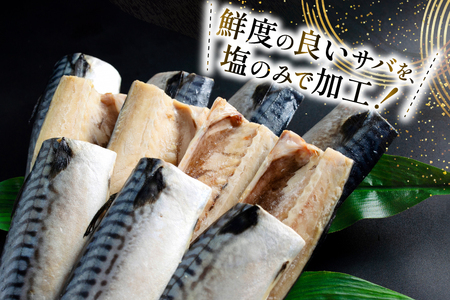 訳あり 減塩 塩サバ フィレ Sサイズ 総重量 2.5kg 20565959