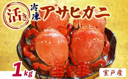 【 活冷凍 アサヒガニ 約１㎏ 】 蟹 かに カニ がに ガニ 生 魚介類 海鮮