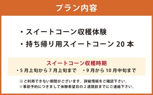 F5 アッキーファーム スイートコーン収穫体験 （スイートコーン20本込み） _イメージ2