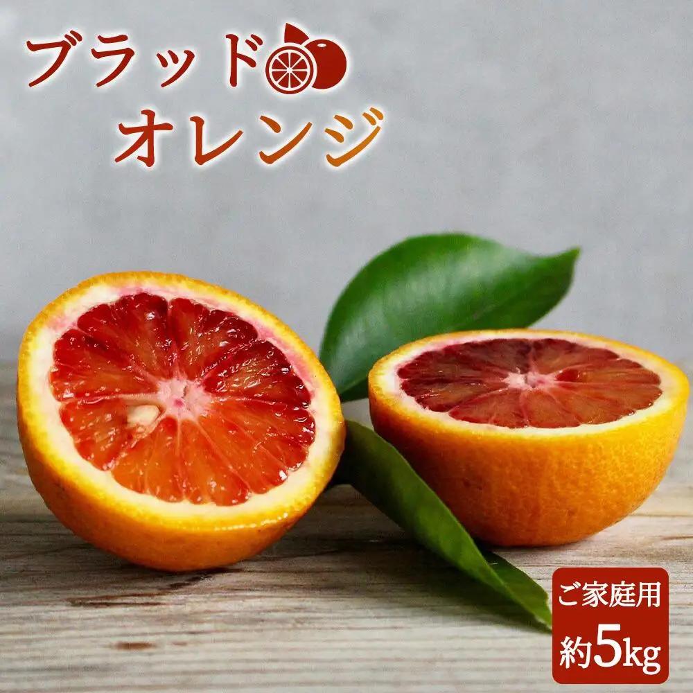 希少な柑橘!紀州有田産ブラッドオレンジ約5kg ［ご家庭用］［2027年3月上旬以降発送］［先行予約］［UT89］