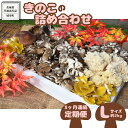 【ふるさと納税】【3ヶ月定期便】きのこ の 詰め合わせ Lサイズ( 約2kg ) （茨城県共通返礼品：城里町） キノコ セット 野菜 低カロリー ダイエット デトックス バラエティ セット 新鮮