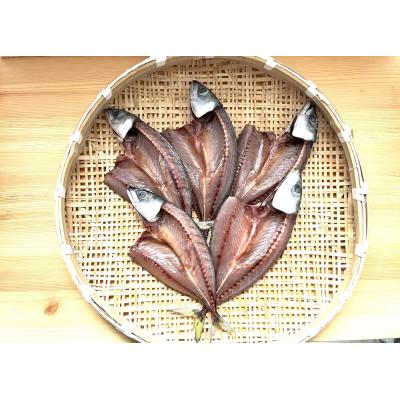 ふるさと納税 土佐清水市 さばの干物 5枚セット 個別包装 冷凍 真空 鯖 塩干し おかず 【R01163】 |  | 01