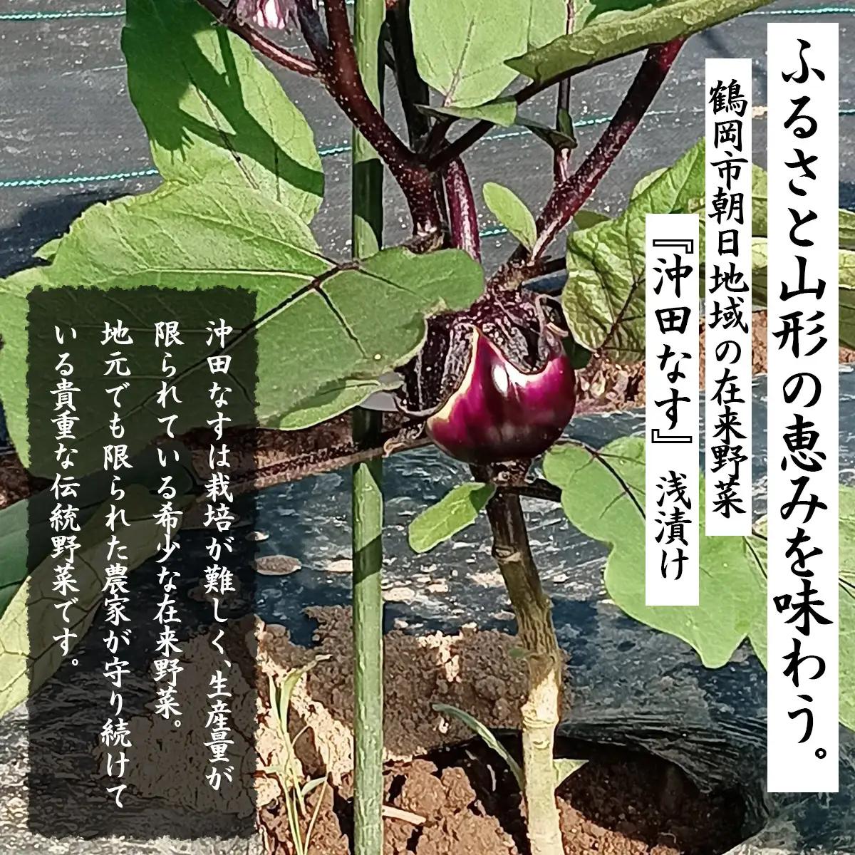 【令和8年発送】旧朝日村特産 沖田なす浅漬　200g×3袋　山形県鶴岡市　産直あさひ・グー　K-818　| 漬物 漬け物 つけもの 浅漬け なすの浅漬け 沖田なす 在来野菜 伝統野菜 ご飯のお供 お酒