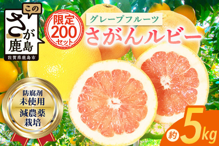 【数量限定・リピーター続出】先行予約 グレープフルーツ「さがんルビー」 約５ｋｇ 防腐剤不使用 希少 国産グレープフルーツ【3月下旬頃より順次発送予定】 B-2