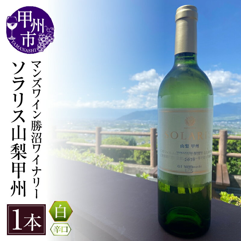 【ふるさと納税】 ワイン ソラリス 白ワイン 1本 甲州 シャトー勝沼 750ml 記念日 ギフト 国産 勝沼 勝沼ぶどうの丘 山梨県 甲州市 (KBO) 【B15-603】